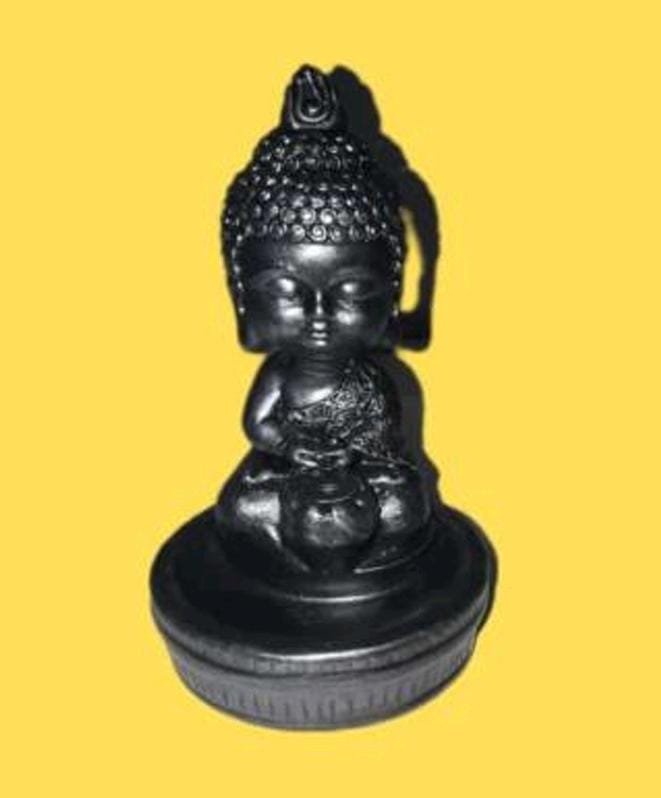 CASCADA BUDA LOTO COD 170